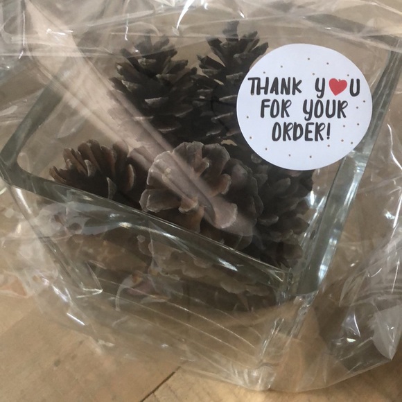 Beautiful Square Heavy Glass Vase with 1 Dozen (12) Northeast Pine Cones 7” Vase - Picture 8 of 8